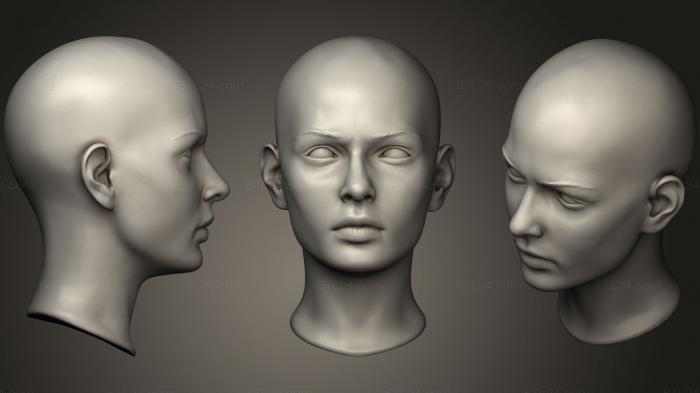 Анатомия скелеты и черепа (Женская головка 12168, ANTM_0511) 3D модель для ЧПУ станка